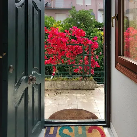 公寓 Ria De 莫格罗